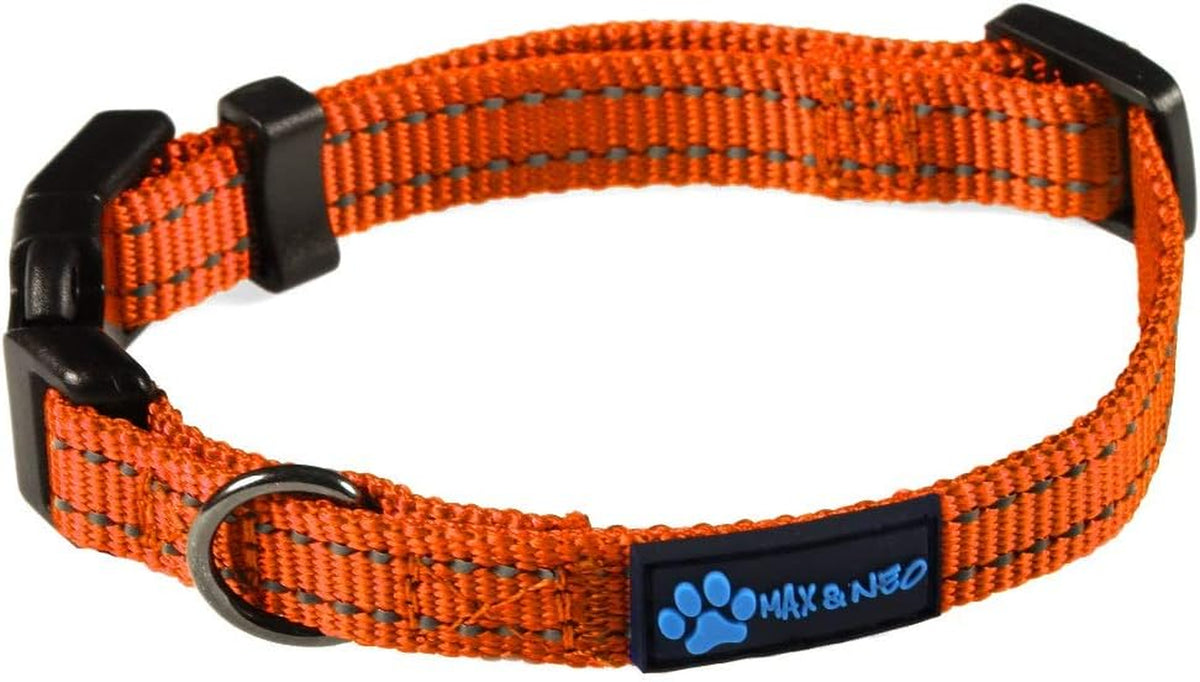 NEO Nylon Buckle Reflective Dog Collar - Medium, Pink