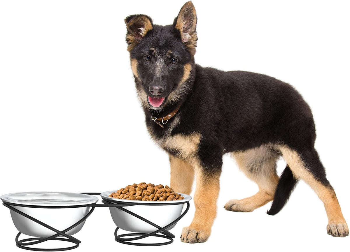 Set of 2 Stainless Steel Dog Bowls - 40Oz Pet Bowls with Decorative Dog Food Stand - Metal Food and Water Dishes for Large Pets - Puppy Essentials by  (Silver/Black)