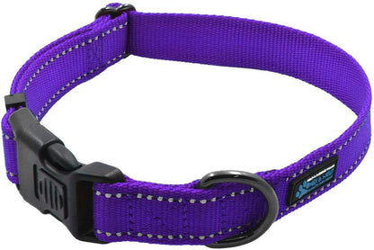 NEO Nylon Buckle Reflective Dog Collar - Medium, Pink