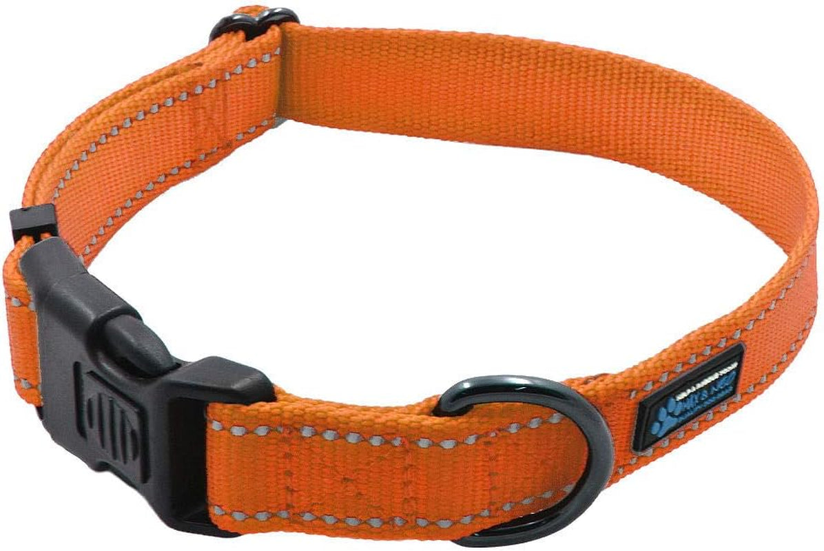 NEO Nylon Buckle Reflective Dog Collar - Medium, Pink